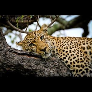 Meet your Posher, Erika